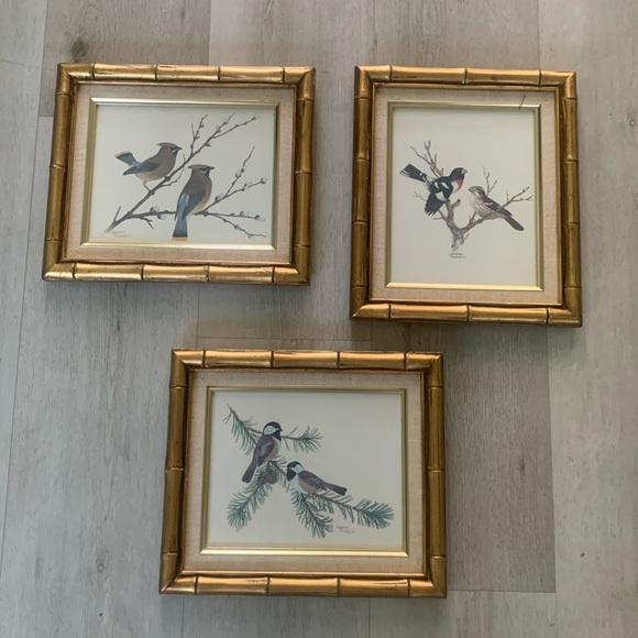 Sherm Pehrson Bird Prints Set of 3 wall art decor‎ bamboo wooden frames gold - Picture 1 of 16